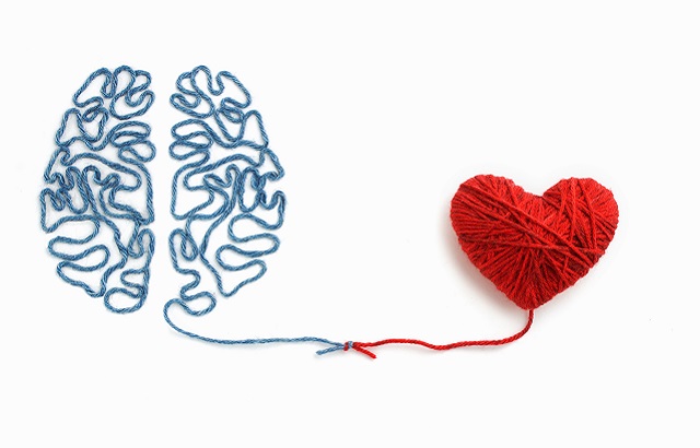 Brain and heart