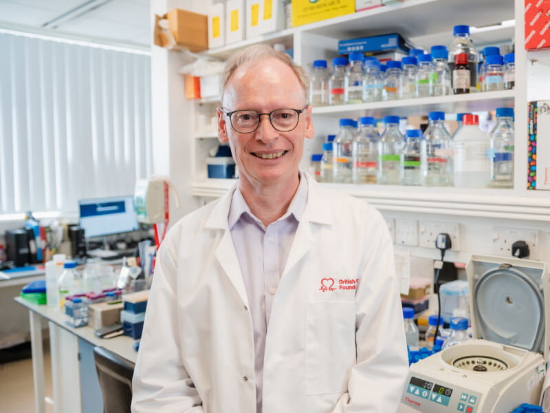 A BHF-funded researcher in a science laboratory.