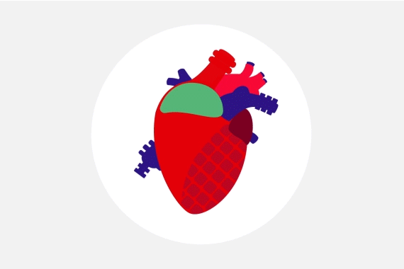 Hybrid heart moving graphic
