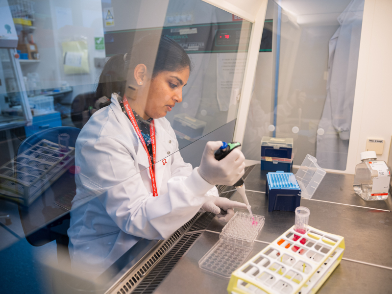 A BHF-funded researcher in a lab conducting research