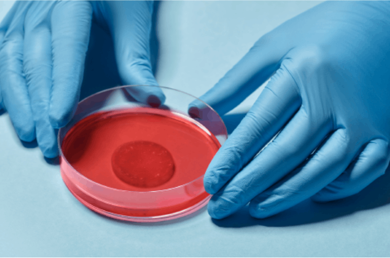 Heart Healing Patch in a petri dish
