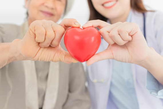 Two people holding a plastic heart