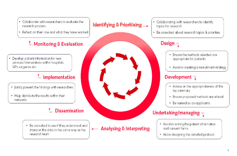 a diagram showing that PPI can happen at all stages of the research life cycle