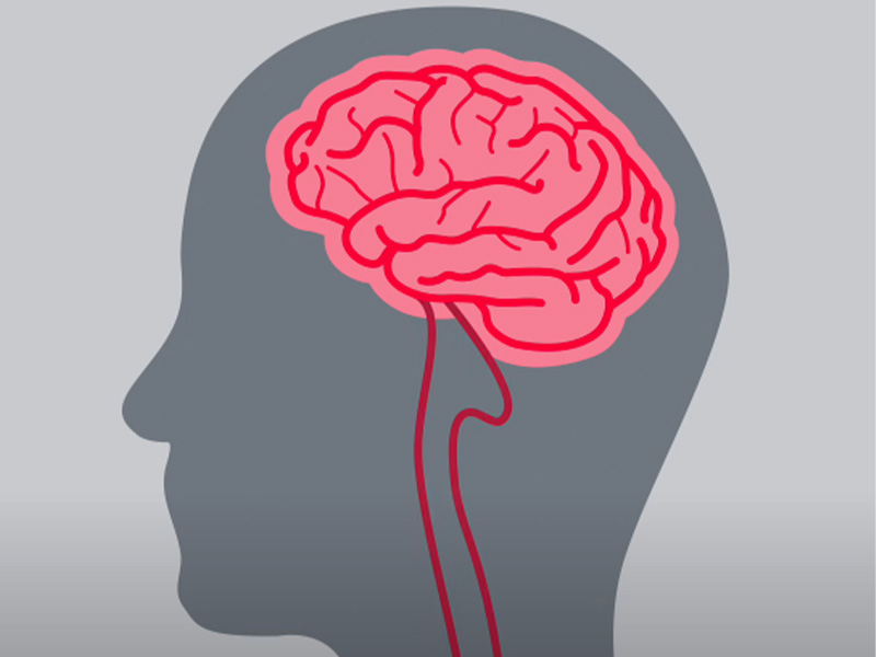 Illustration of a head with a brain 