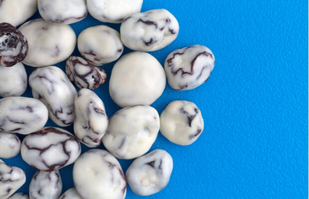 Yoghurt coated raisins on a blue background