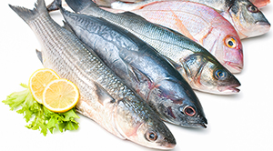 A selection of oily fish