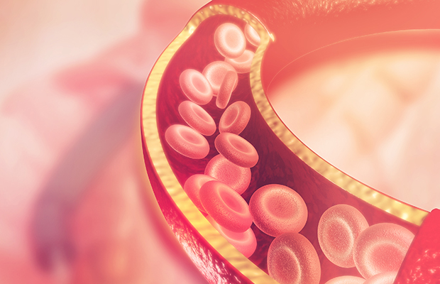 Illustration of blood flowing through an artery