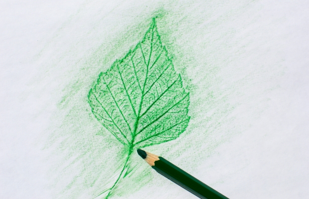 leaf rubbing with green pencil