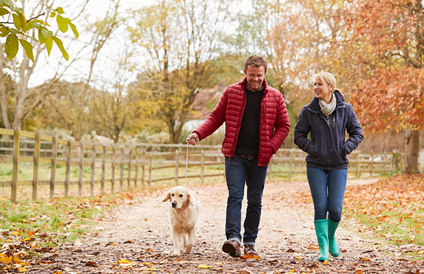 Two people walking with a dog