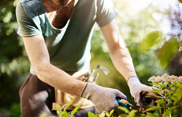 gardening in spring