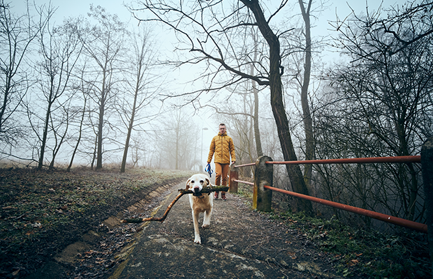 Man walking dog