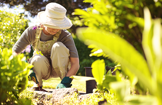 Senior woman gardening