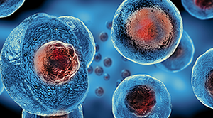 Close up of stem cells