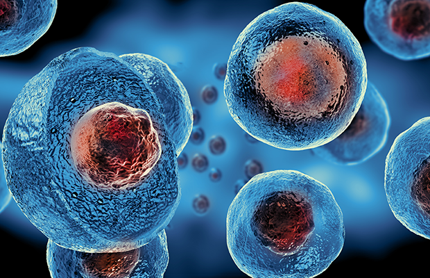 Close up of stem cells