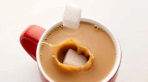 Sugar cubes dropped into tea