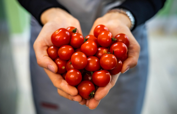 Red cherry tomatoes arranged in a heart shape