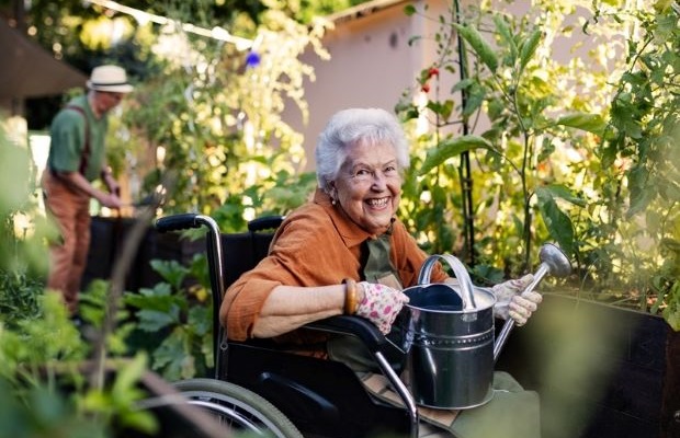 A woman in a wheelchair waters plants in a garden with a watering can.