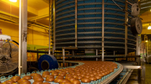 Multiple cakes on a conveyor belt