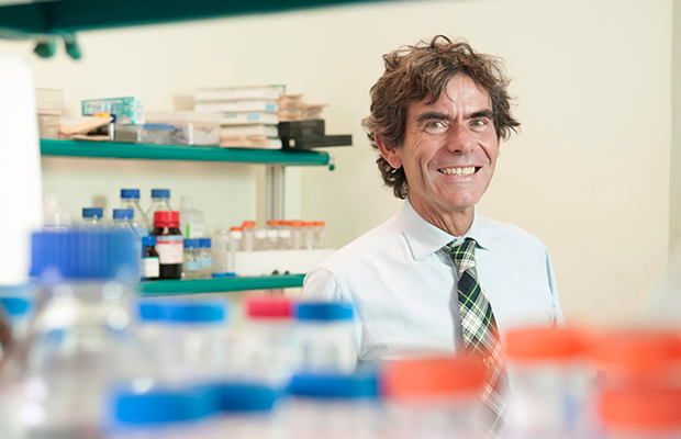 Professor Madeddu in the lab