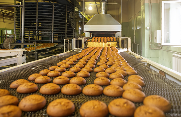 Photo of a batch of cookies being produced at a factory.