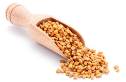 Fenugreek seeds on a wooden spoon