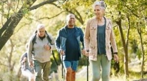 A group of seniors out hiking through woods on a sunny day.