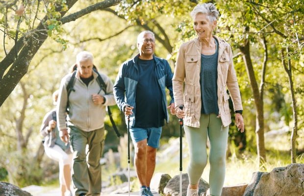 A group of seniors out hiking through woods on a sunny day.