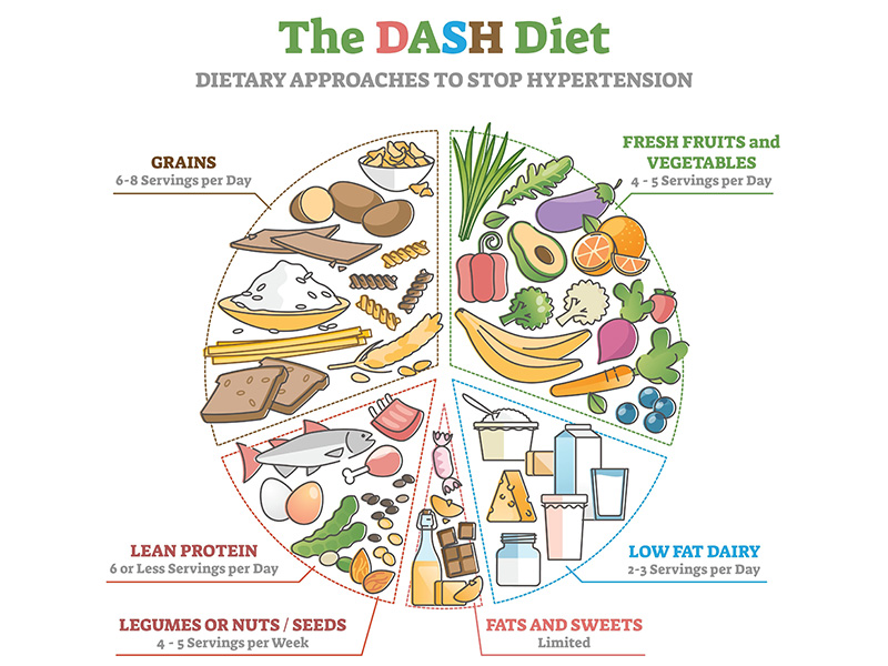 A plate split up into different food groups representing the DASH diet.