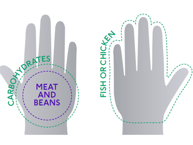 Hands diagram for measuring food portion sizes BHF NHS