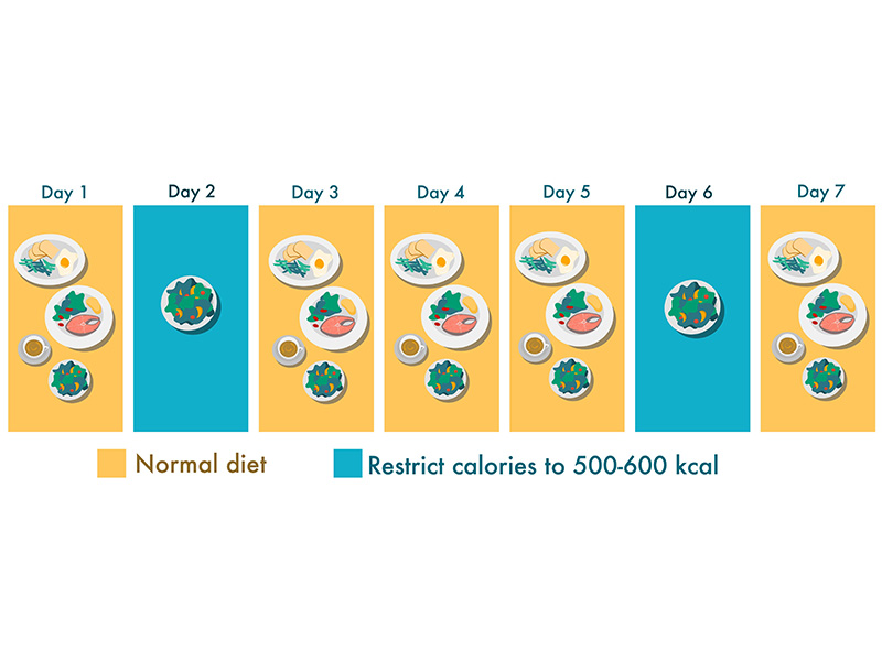 An infographic with 7 days, 5 labelled 'Normal diet' and 2 labelled 'Restrict calories to 500-600kcal''.