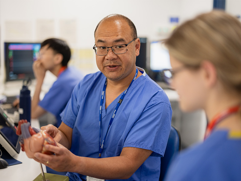 Professor Ng showing a medical student an anatomical model of the heart.