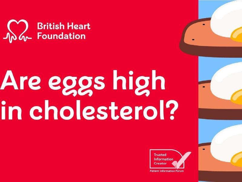 Text that says "Are eggs high in cholesterol?"