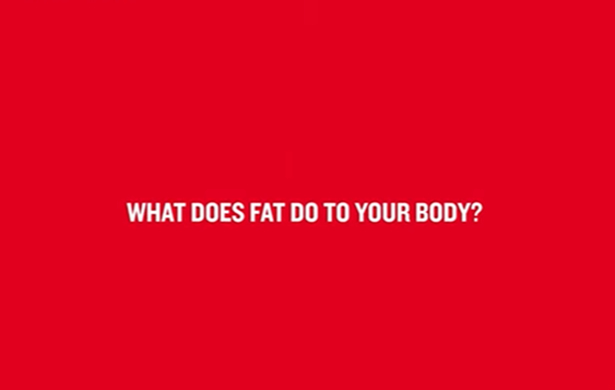 Red background with white text reading: "What does fat do to your body?"