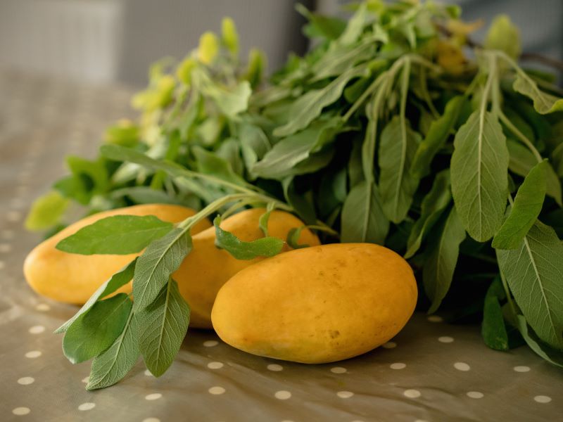 Close up of bunches of sage from Marion's garden and her favourite fruit, mangoes, sitting on her kitchen table.
