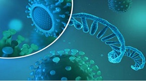 Coronavirus vaccine: your questions answered bhf