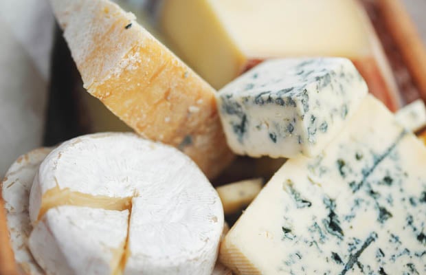 Blue cheese, camembert, cheddar and parmesan cheese