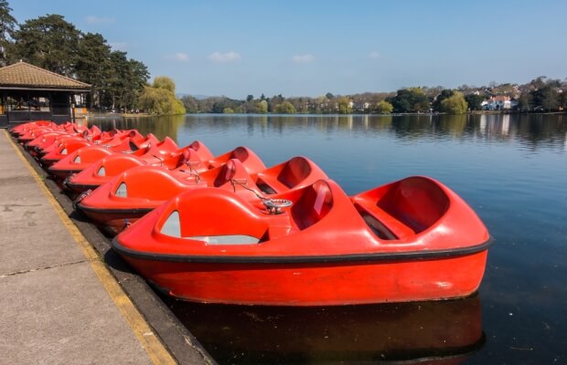 A row of pedalos on the lake in a park