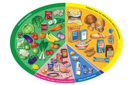 Eatwell Guide 2016