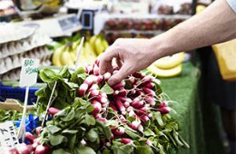 Shopping radishes in a market