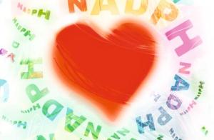 Illustration representing the NADPH oxidase enzyme and the heart