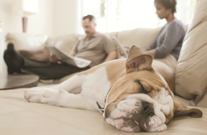 A couple sitting and reading on a sofa