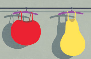 Apple and pear illustration
