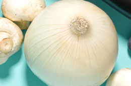 A white onion