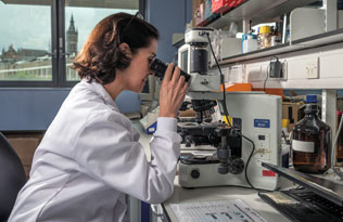 Professor Rhian Touyz