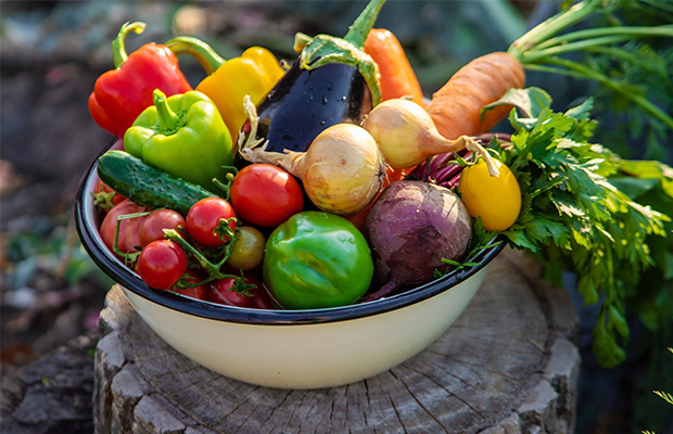 A bowl of vegetables outside.