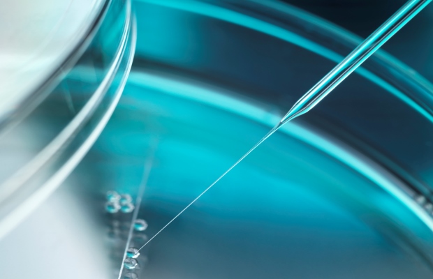 Embryonic stem cells