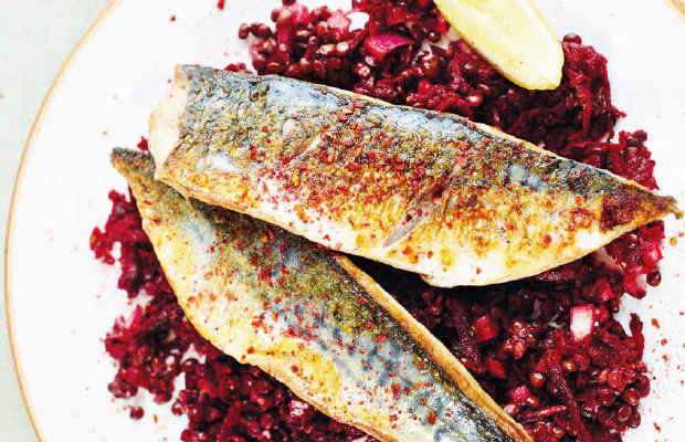 Griddled mackerel and beetroot lentil salad