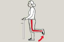 Back-knee strengthener illustration