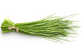 Chives