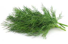 Dill